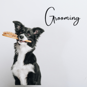 Grooming