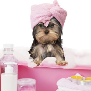 Bathing