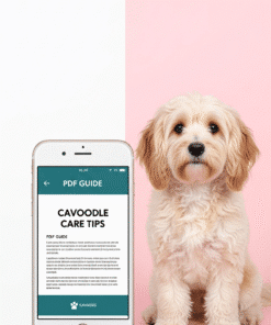 Digital Guide PDF Mockup - premium dog care product