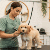 Professional Dog Groomer at Work - premium dog care product