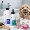Cavoodle Puppy Kit - premium dog care product