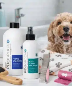 Cavoodle Puppy Kit - premium dog care product